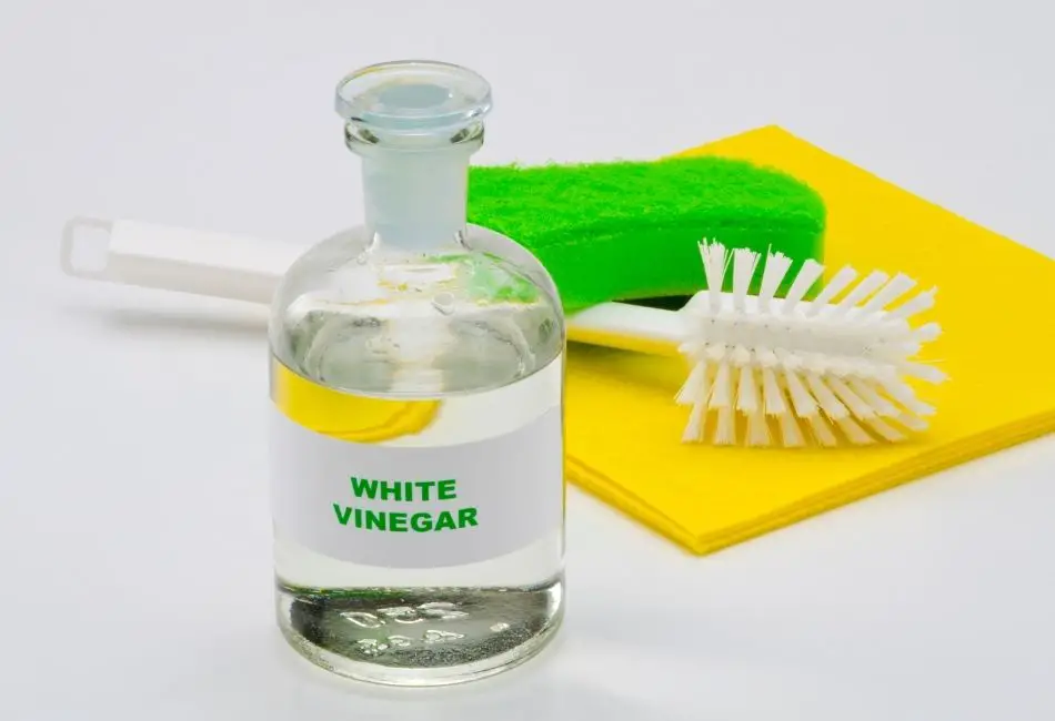 White vinegar with sponge and brush