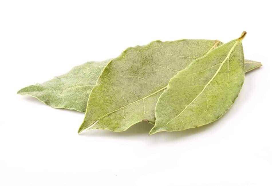 Bay leaves