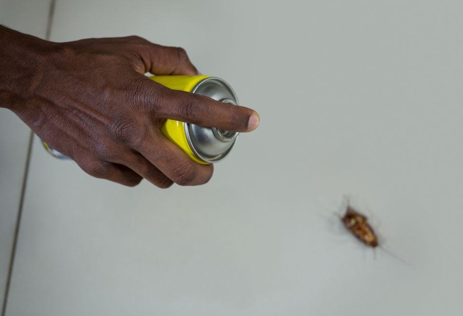 Cockroach pesticide