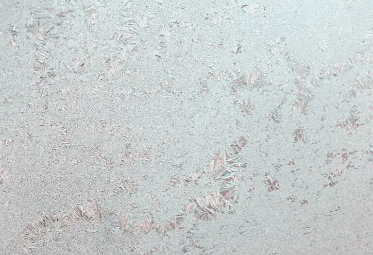 7 Best Glass Shower Door Ideas For Maximum Privacy Homes On Point