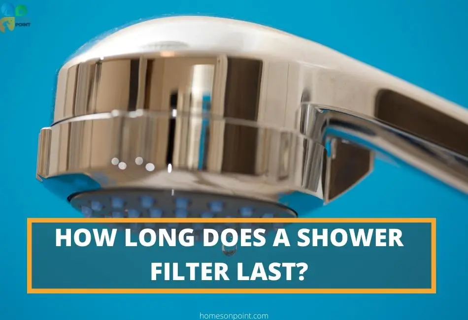 Shower filter lifespan