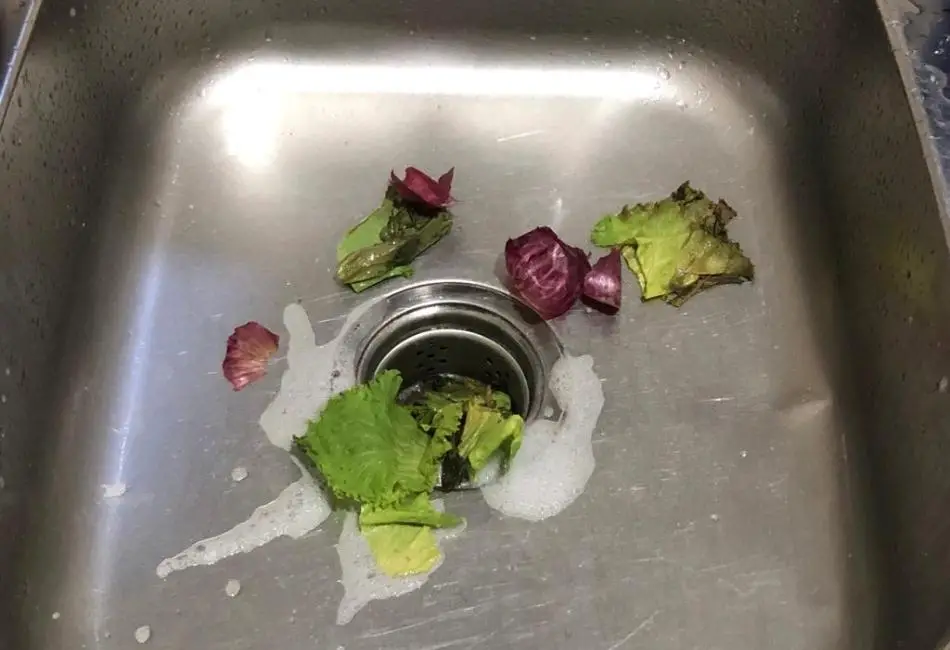 Vegetables in kitchen sink