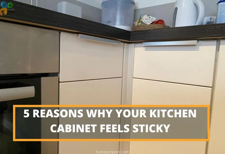 Stylish kitchen cabinet