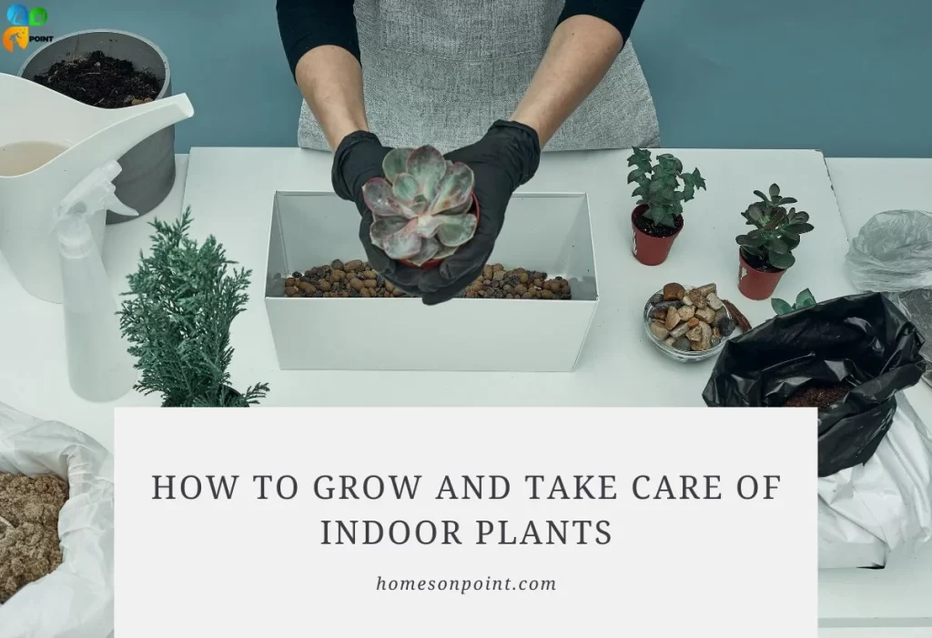 blinds and curtains together in the libing room