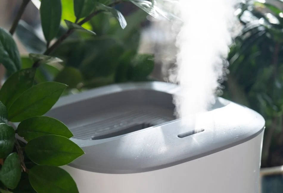 humidifier spreading vapor within indoor plant