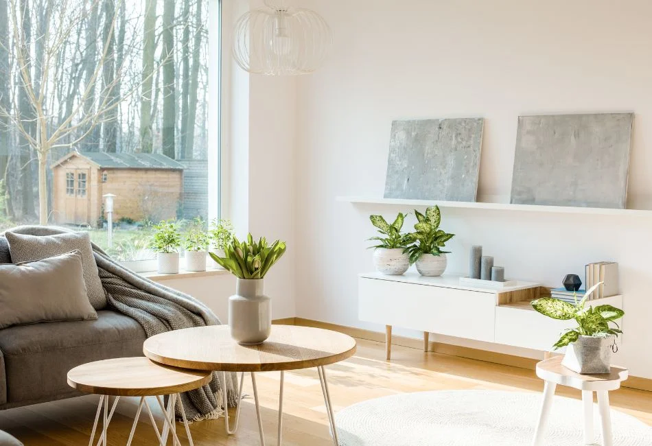 plants in living room interior