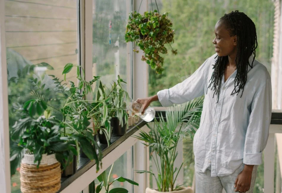 woman watering indoor plant