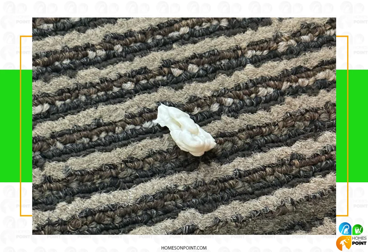 Gum Stuck On Carpet
